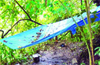 Uppinangady: Cops raid illegal butchery; arrest 3, seize 2 calves